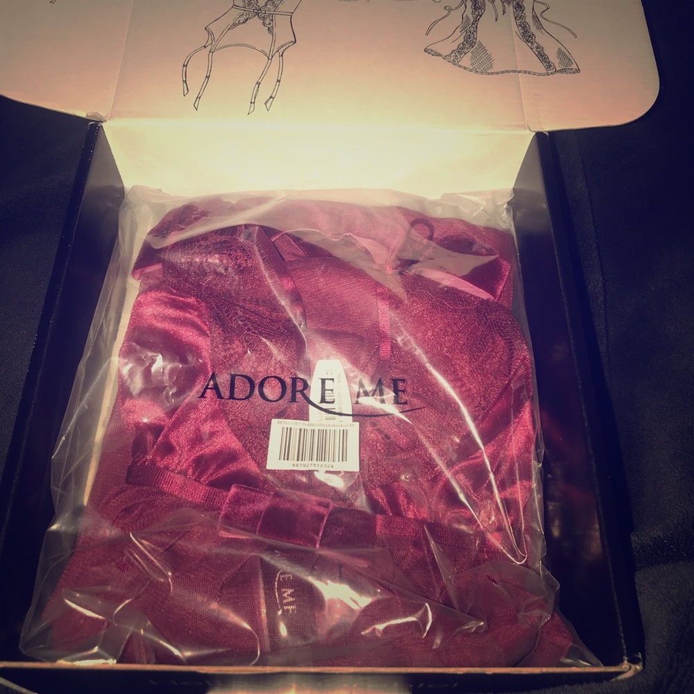Adore Me Burgundy Babydoll Lingerie